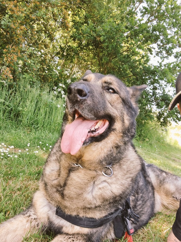 Premier league whites tweet media