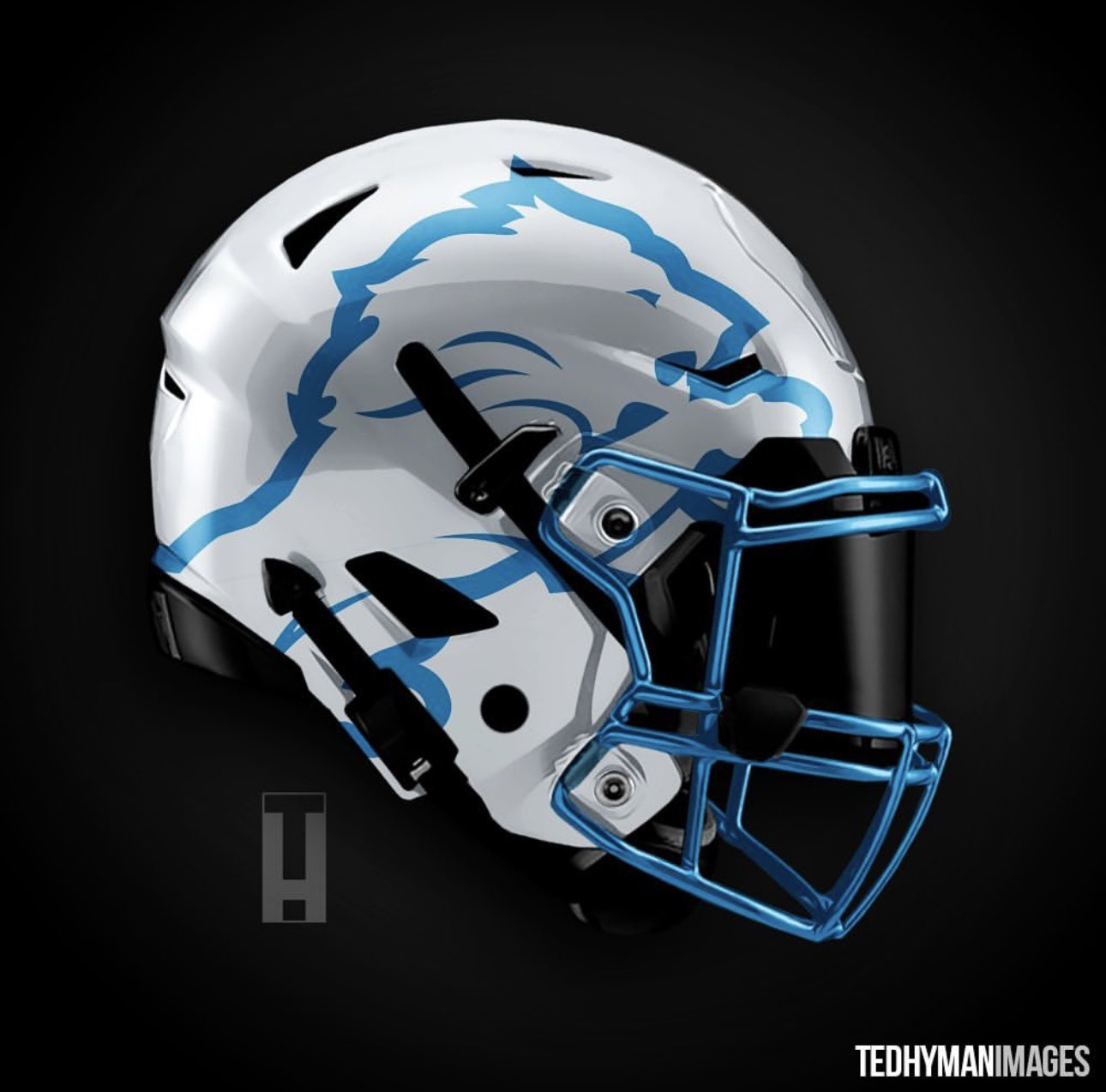 Woodward Sports Network on X: These Detroit Lions helmet ideas