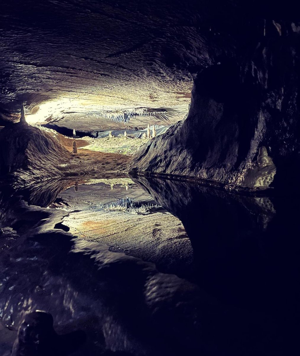 Powered by sunshine…. and deep underground! ☀️👣🐾🖤

#ingleboroughcave #ingleboroughnaturetrail