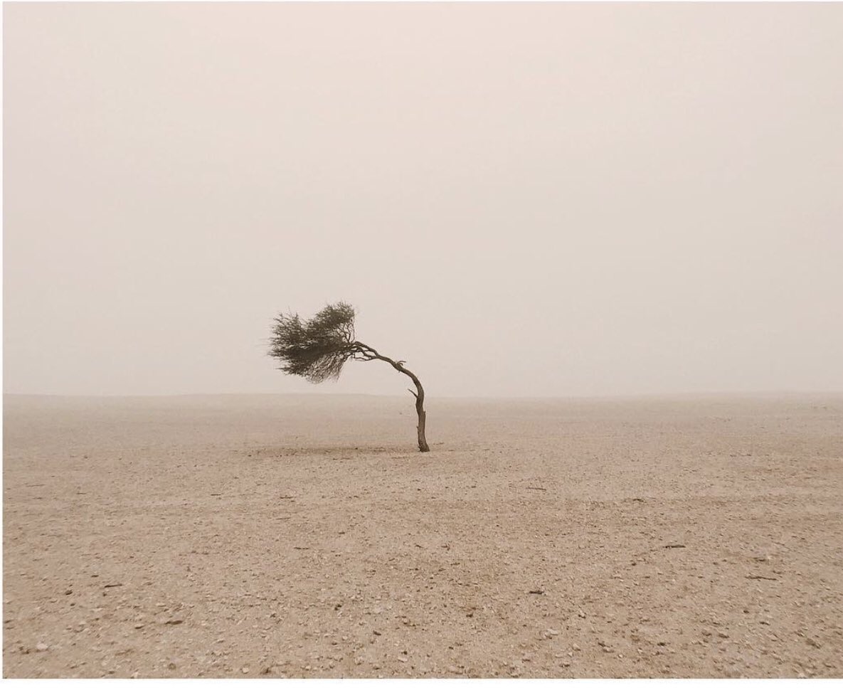 Karalara bürünmüş saçlarında dolunay 
Ben bu kadar zulme layık mıyım Rüveyda

Nurullah Genç