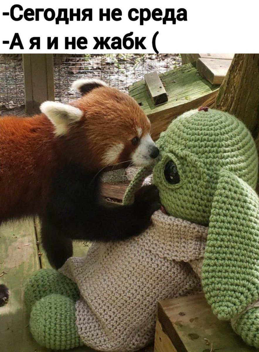 RussianMemesLtd's tweet photo. - Today is not Wednesday
- And I'm not a toad :( https://t.co/z3KdXLKIyR