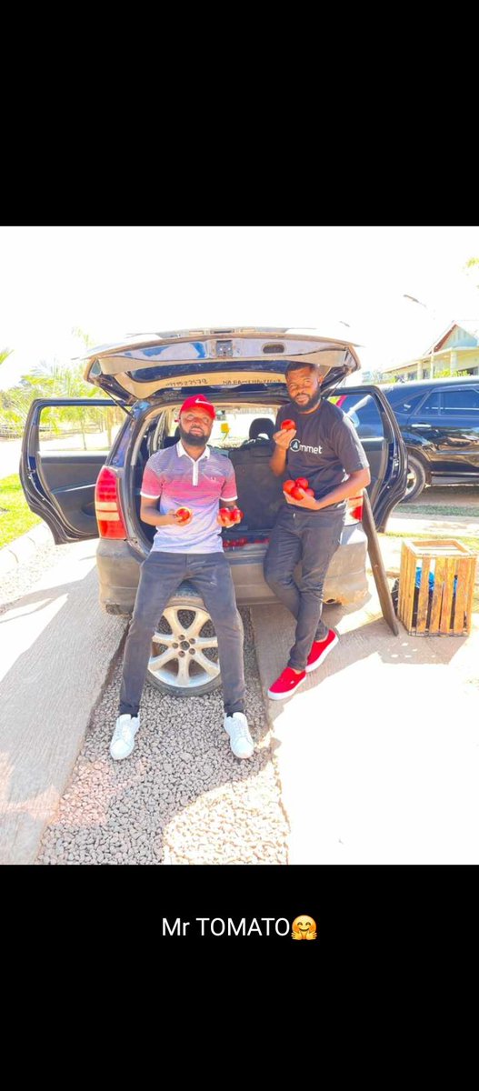 Mr tomate 🍅 tweet media