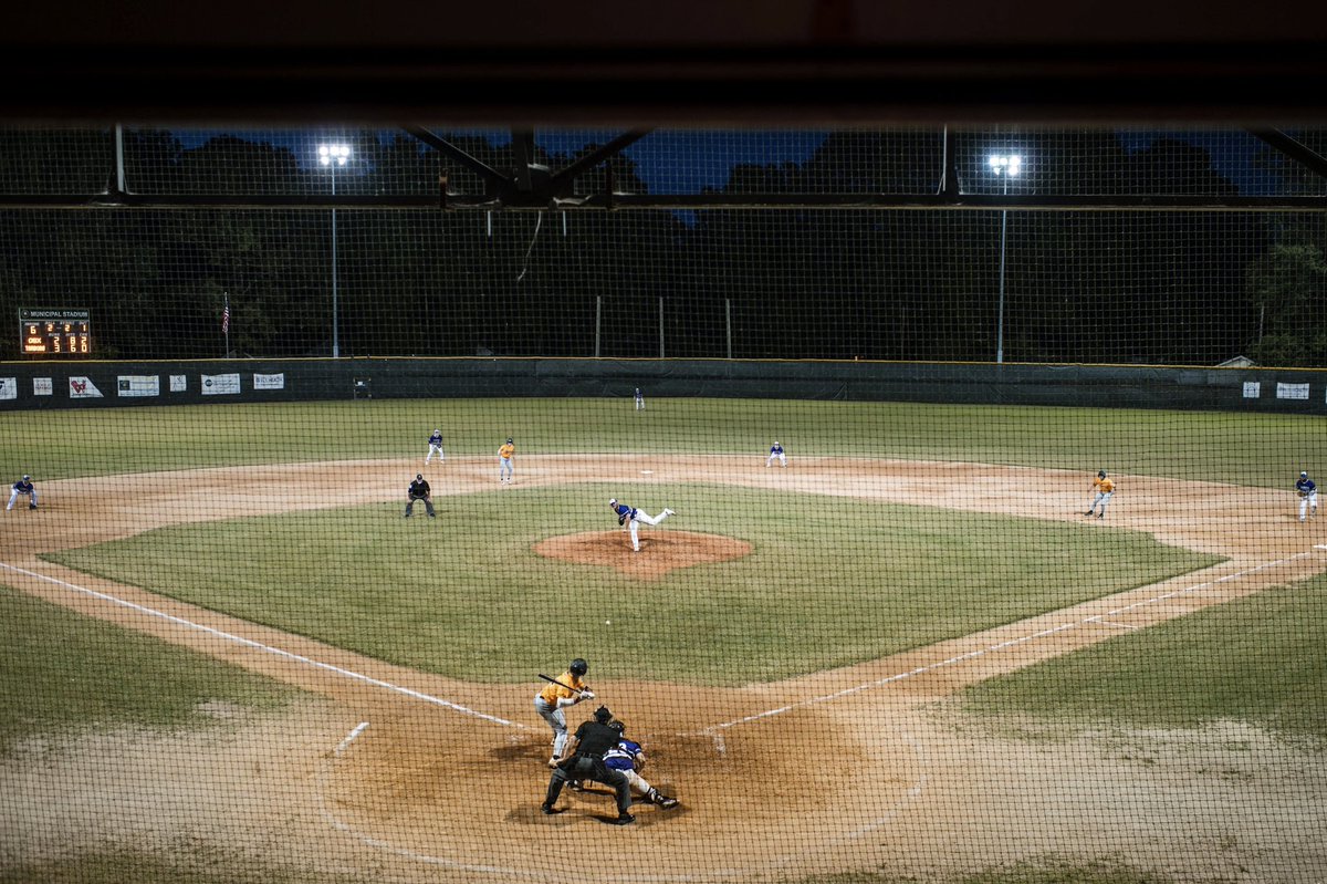 Lindsey Williams tweet media