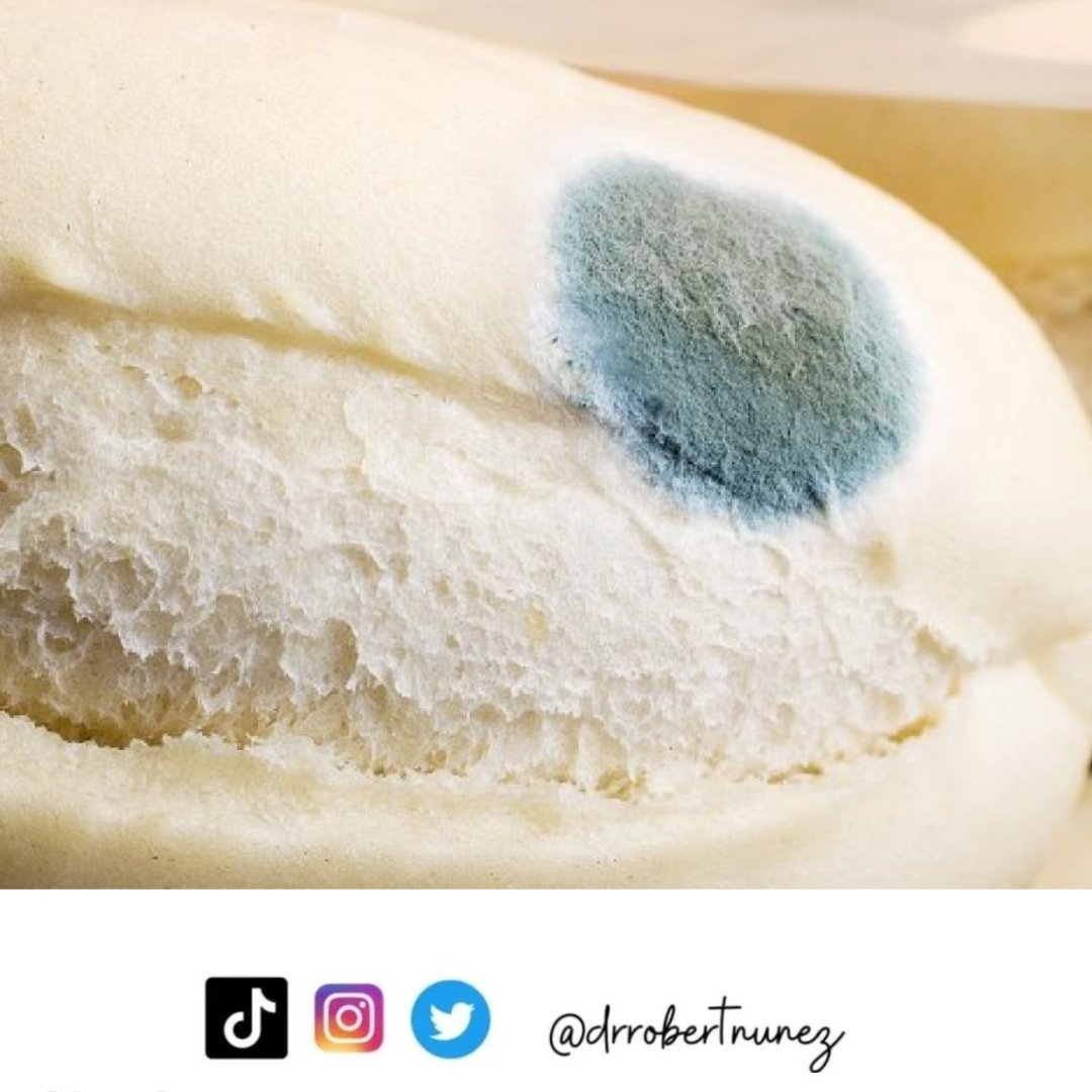 El peligro de retirar el moho de un alimento y darle de nuevo a los chicos. 

Mamá, papá no lo hagan.
Te explico

•Las micotoxinas que no se ven en el resto del producto, aunque se haya retirado el hongo, pueden ser muy peligrosas para la salud de tu peque.

Seguro que muchas