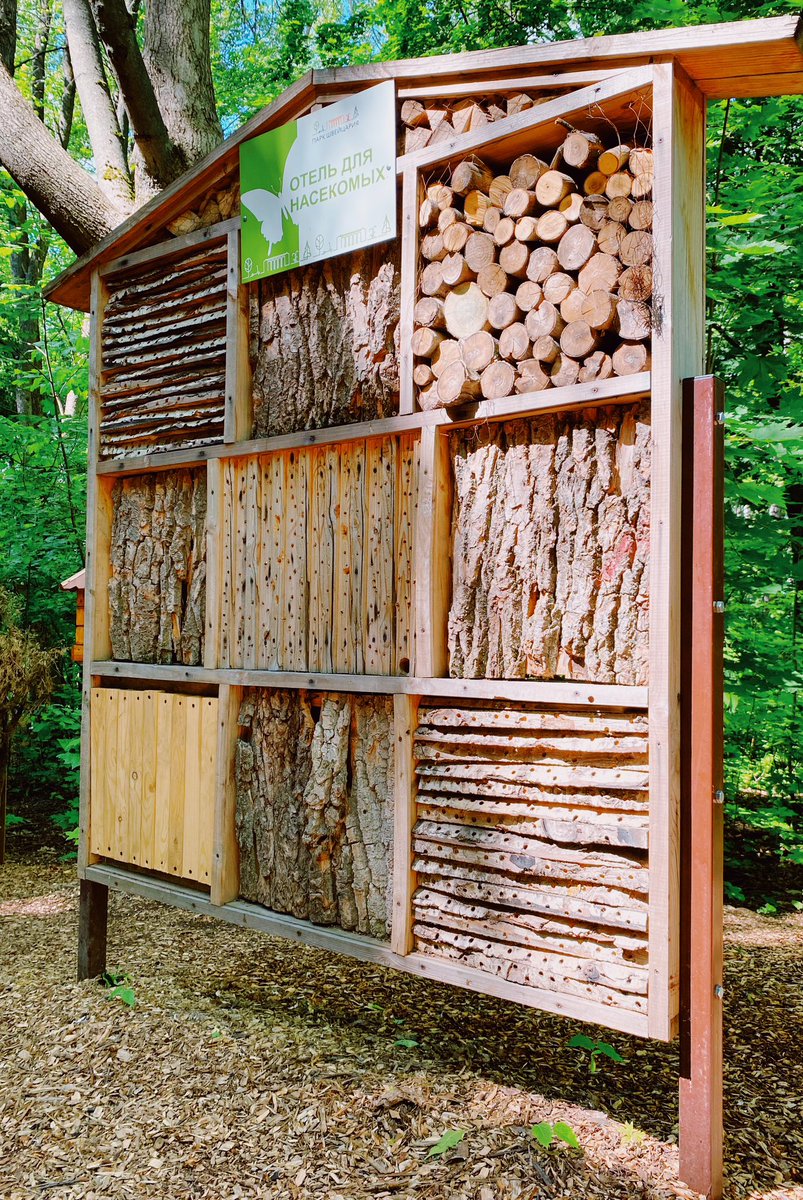 Arboretum - an area set aside for cultivation in the open ground of woody plants, placed according to systematic, geographical, ecological, ornamental and other characteristics.

I will not show you all this, but for now look at the «Cafe for Squirrels» and «Hotel for Insects»