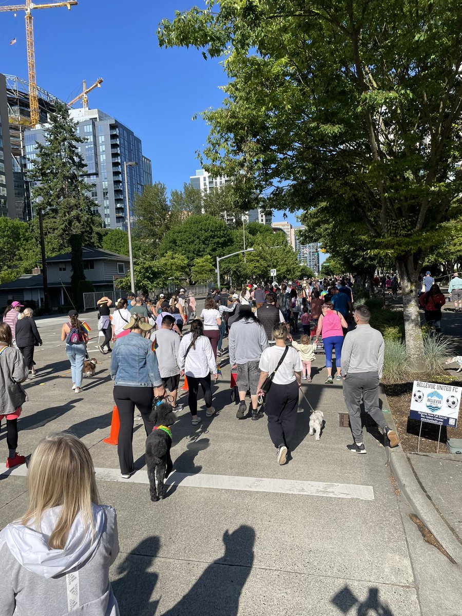 KccClaudia's tweet photo. Continuing a month of #PrideEastside with the #PawsandPride march in Bellevue. Earlier this week, the city kicked off pride month with a flag raising and a party in city hall that included a drag performance. Way to go, @bellevuewa! https://t.co/zutVOW8iOp