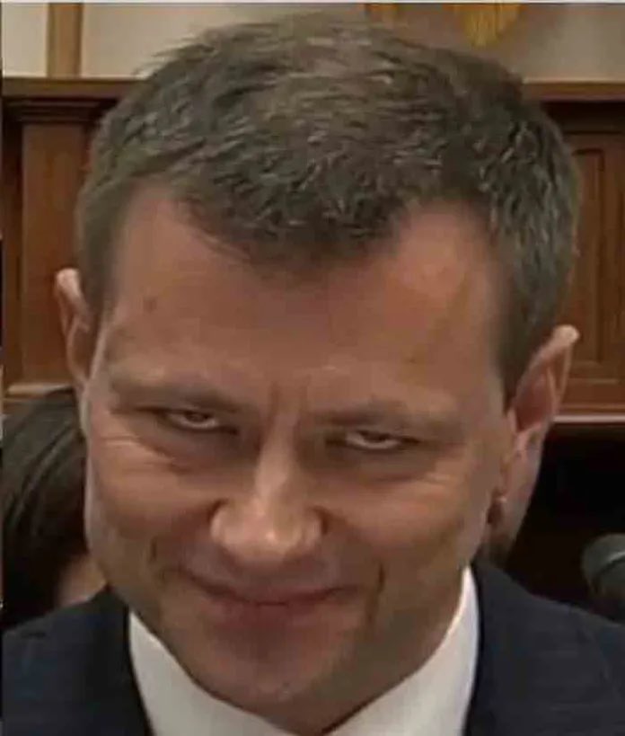In leading the FBI investigation into Hillary Clinton’s email server, Strzok was the one who changed the description of Clinton’s mischief from “grossly negligent,” which could have led to criminal charges, to “extremely careless,” which did not. #defund #FBI #TreasonousTraitors
