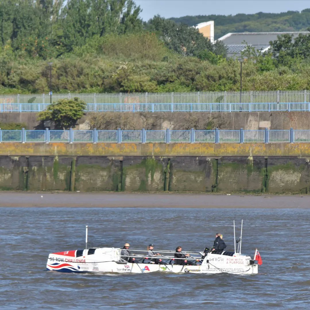 #dlr_blog tweet media