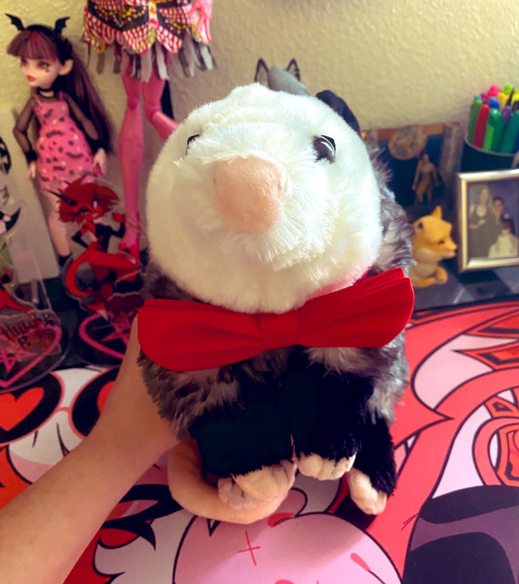 AngstyReaper On Twitter Hey Guys Check Out What I Got From Shark angstyreaper-on-twitter-hey-guys-check-out-what-i-got-from-shark