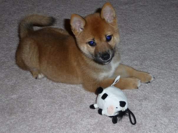 Lindsey Galloway tweet media