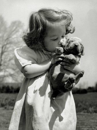 Aesthetic Sharer ZHR tweet media