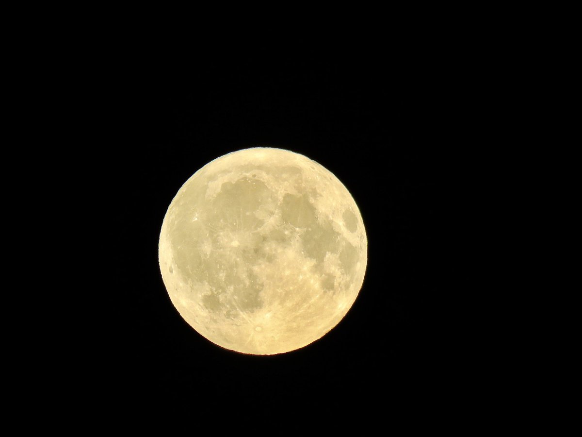 Last nights moon above Bodmin was gorgeous and so bright. Summer is officially here