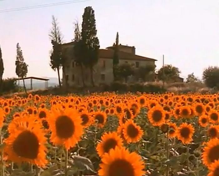 ornellabi (@sfiorirai) on Twitter photo 