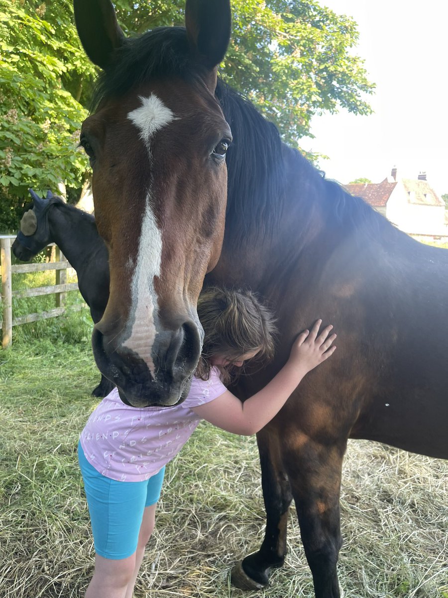 Jane Lambert tweet media