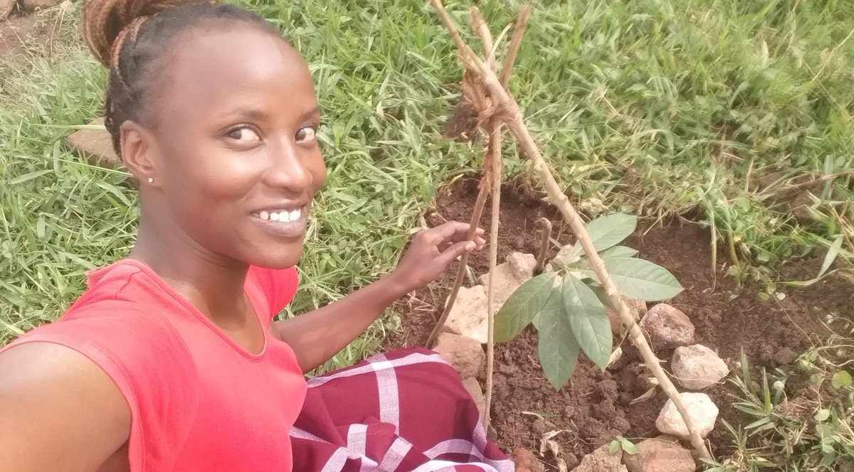 One of the initiatives emphasizing climate awareness and deliberate efforts by @YALIRLCAlumniUg. 
Thank you YALI. I am proudly associated. Thank you @STFUganda for the trees.
PLANT A TREE TODAY!
#YALI4ClimateChange
#ClimateAction 
#ClimateAwareness2023