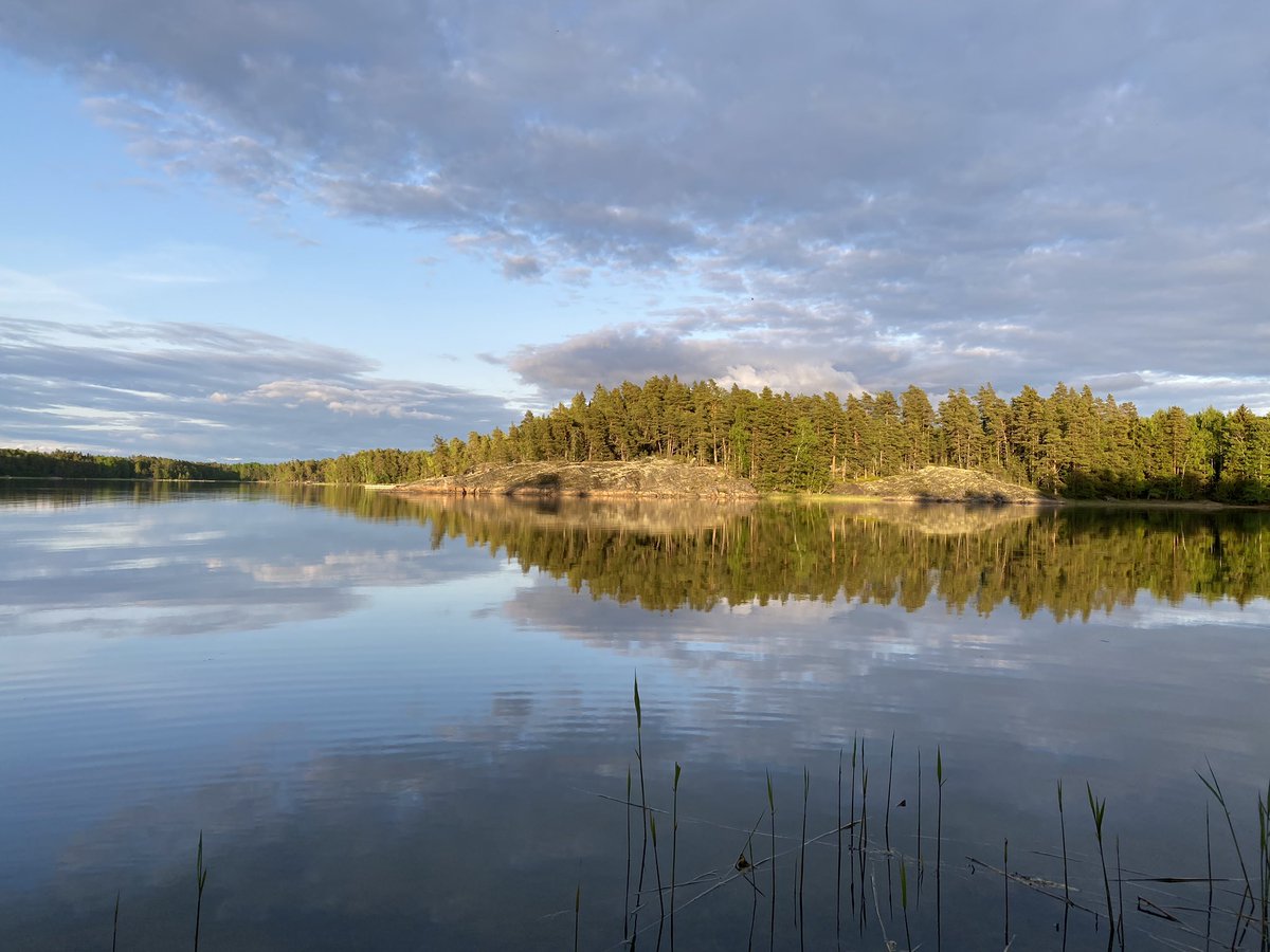 An archipelago weekend of alternating sun, rain and nonstop #birdsong. 

Nature restores us, which is why we must #RestoreNature 🌱. 

#FinnishNature #suomenluonto