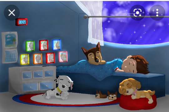 PawEdiths's tweet photo. Buenas noches Ryder y cachorros https://t.co/fYCNpdPQZu