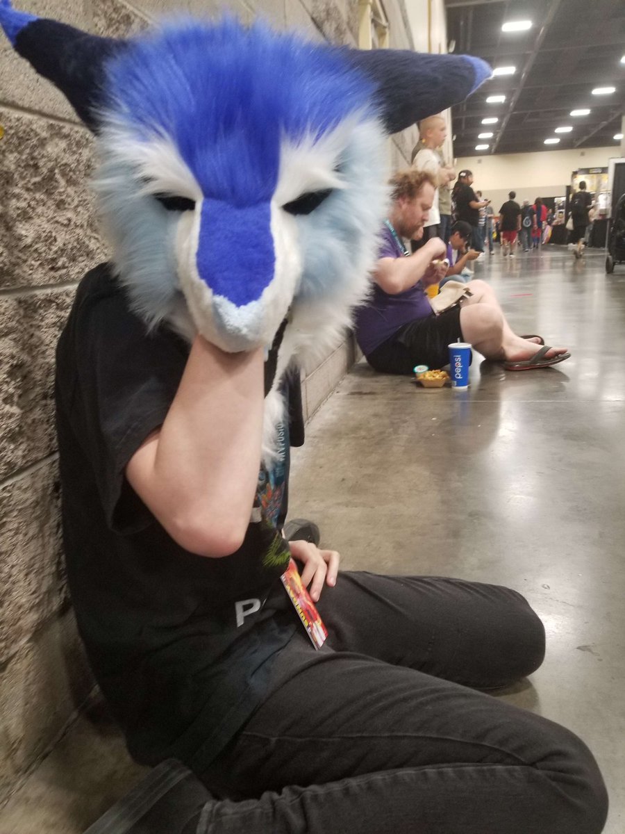 #PhoenixFanFusion #PHXfanfusion
#fursuit