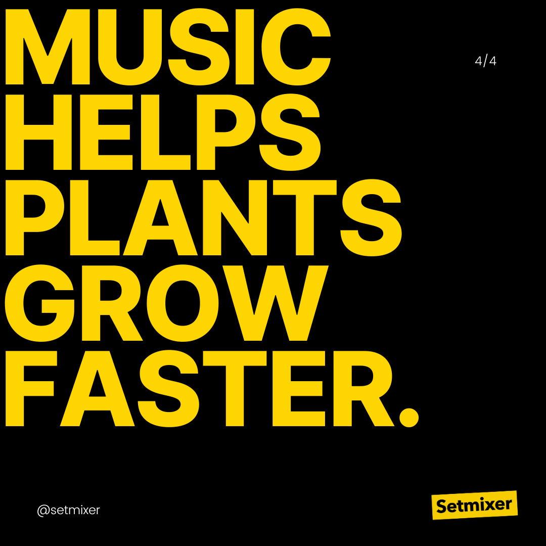 setmixer's tweet photo. 3 #MusicFacts you want to know to get you #Mondayready!! https://t.co/S7qxxPJw0f