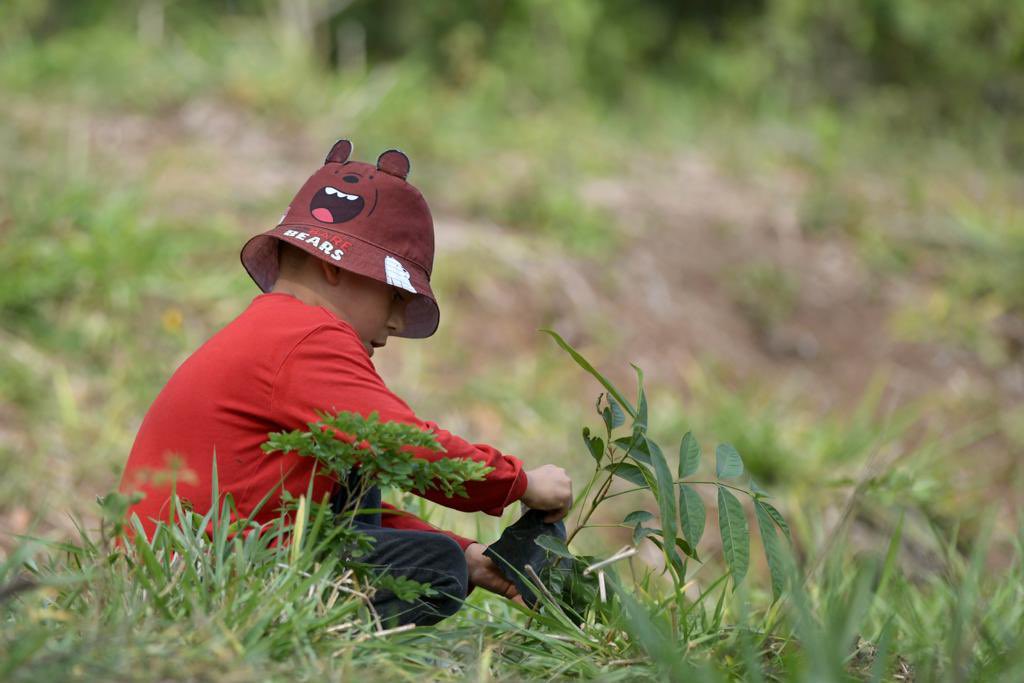 Gobierno de Veracruz tweet media