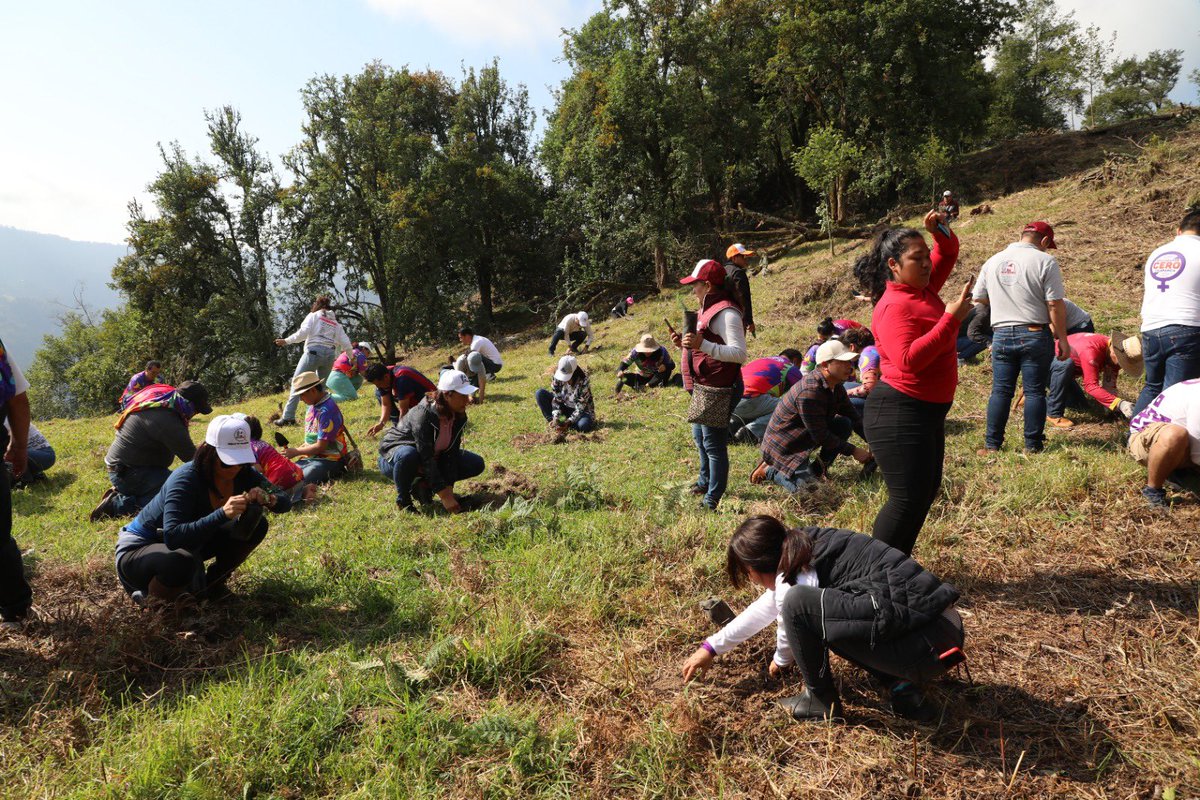 Gobierno de Veracruz tweet media