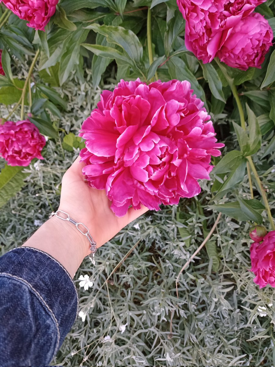 vilergcc's tweet photo. ОНИ 🥺 https://t.co/4QaGx1QgfO