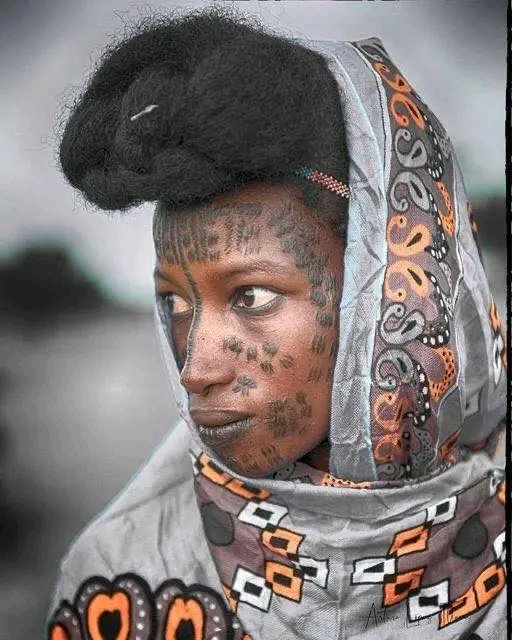fulfulde24's tweet photo. Fullo mo leddi Chad 🇹�� https://t.co/IyL79BZzGr