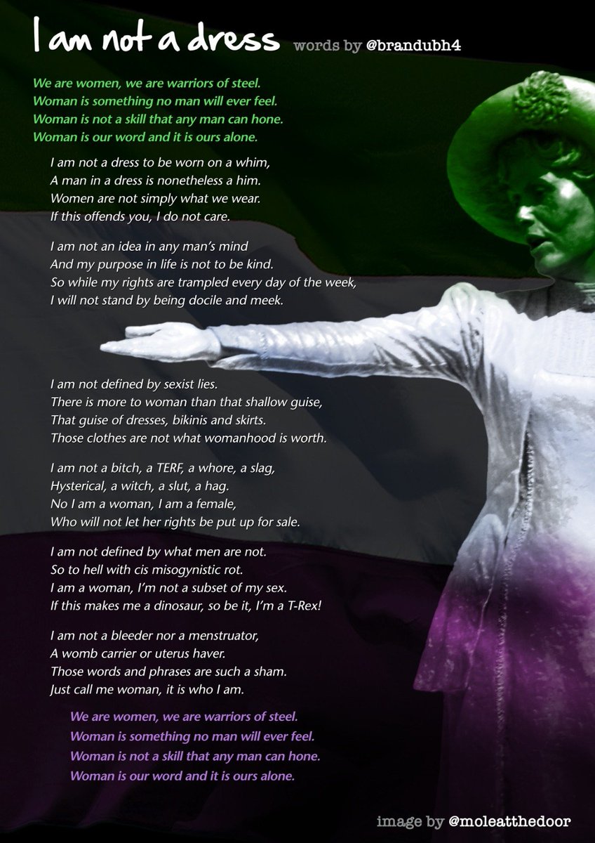 brandubh4's tweet image. I've had a few people telling me about how transphobic they find "I Am Not A Dress". Let me remind everyone of something:
"If this offends you, I do not care"
Everyone accusing me of "transphobia" - stop wasting your time. I could not care less.