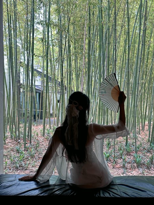 KahiPyar's tweet image. 一座姑苏城，半部江南诗