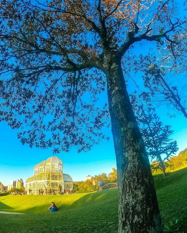 AmarCuritiba's tweet photo. Nosso Jardim Botanico é lindo de qualquer ângulo!😍

📷@vitinho_augus 
= = = = = =
📍Jardim Botânico de Curitiba https://t.co/xvWGqYKL78