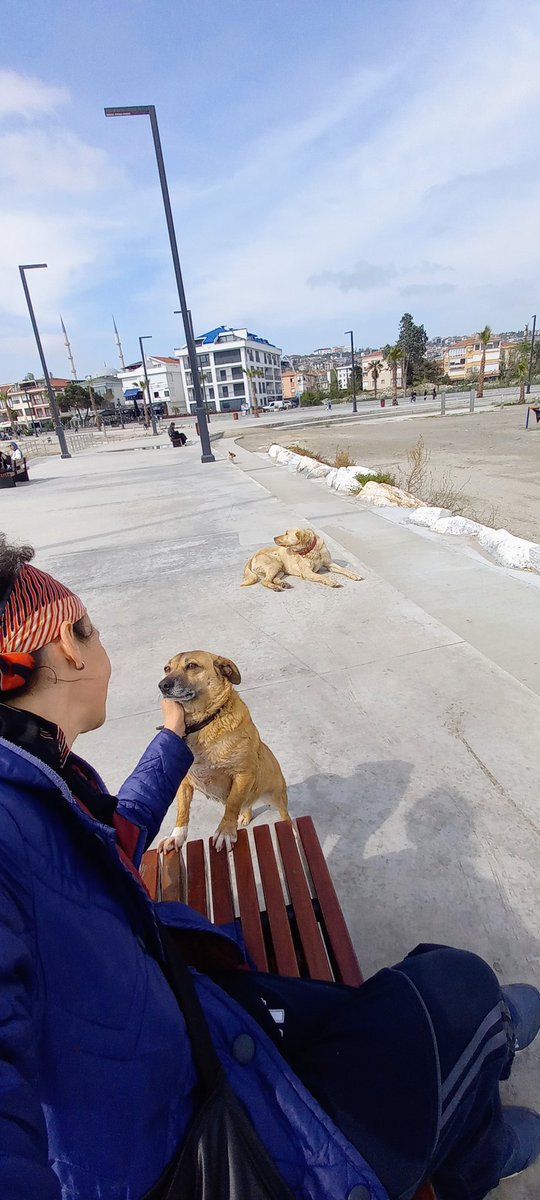 #yasamhakkınasaygı
Özellikle sokak köpeklerine yönelik dehşet projelerini uygulayanlar,onları besleyenleri de katletmektedirler Bu demokrasi var denilen ülkede ASLA olmaması gereken bir durumdur.
<a href="/RTErdogan/">Recep Tayyip Erdoğan</a>
<a href="/HurDavaPartisi/">HÜDA PAR</a>
<a href="/isamesihsahin/">İsa Mesih Şahin</a> 
<a href="/selcukozdag/">Selçuk ÖZDAĞ</a>
<a href="/ErbakanFatih/">Dr. Fatih Erbakan</a> 
<a href="/zyapicioglu/">Zekeriya Yapıcıoğlu</a>