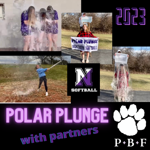 The Polar Bear Foundation tweet media