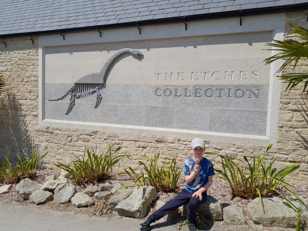 helenakeeling's tweet image. Weather was perfick for fossil hunting at Kimmeridge followed by the fossil museum Etches collection which was👌#kimmeridge #fossils #museum #jurassicoast