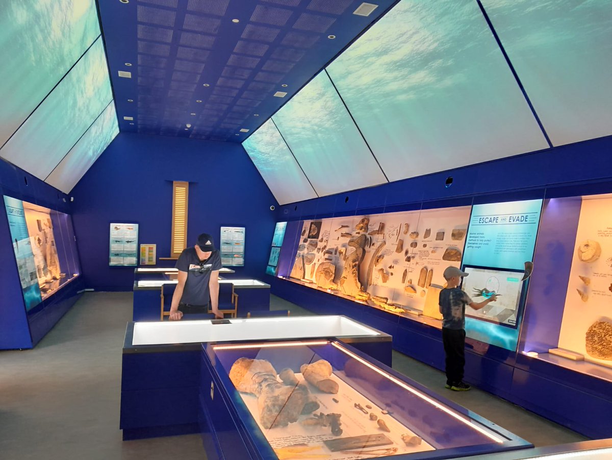 helenakeeling's tweet image. Weather was perfick for fossil hunting at Kimmeridge followed by the fossil museum Etches collection which was👌#kimmeridge #fossils #museum #jurassicoast