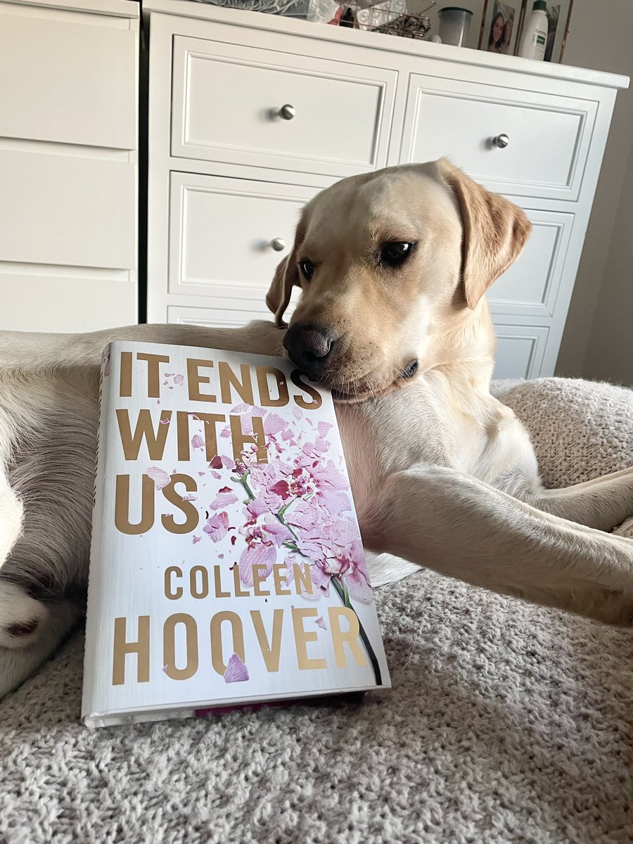 Colin can’t wait to start reading <a href="/colleenhoover/">Colleen Hoover</a> either 💛 #booktwt #booklovers #booktok #booktwitter