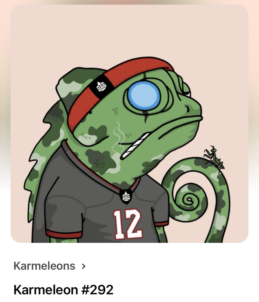 LegendaryAllen's tweet photo. @KarmeleonsNFT Iβm gonna be considering offers on all my #Karmeleons & #Karmz
Anyone interested just submit an offer on OpenSea https://t.co/6v8mzxa626