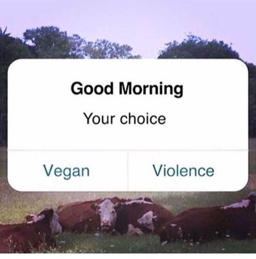 Vegan or Violence?