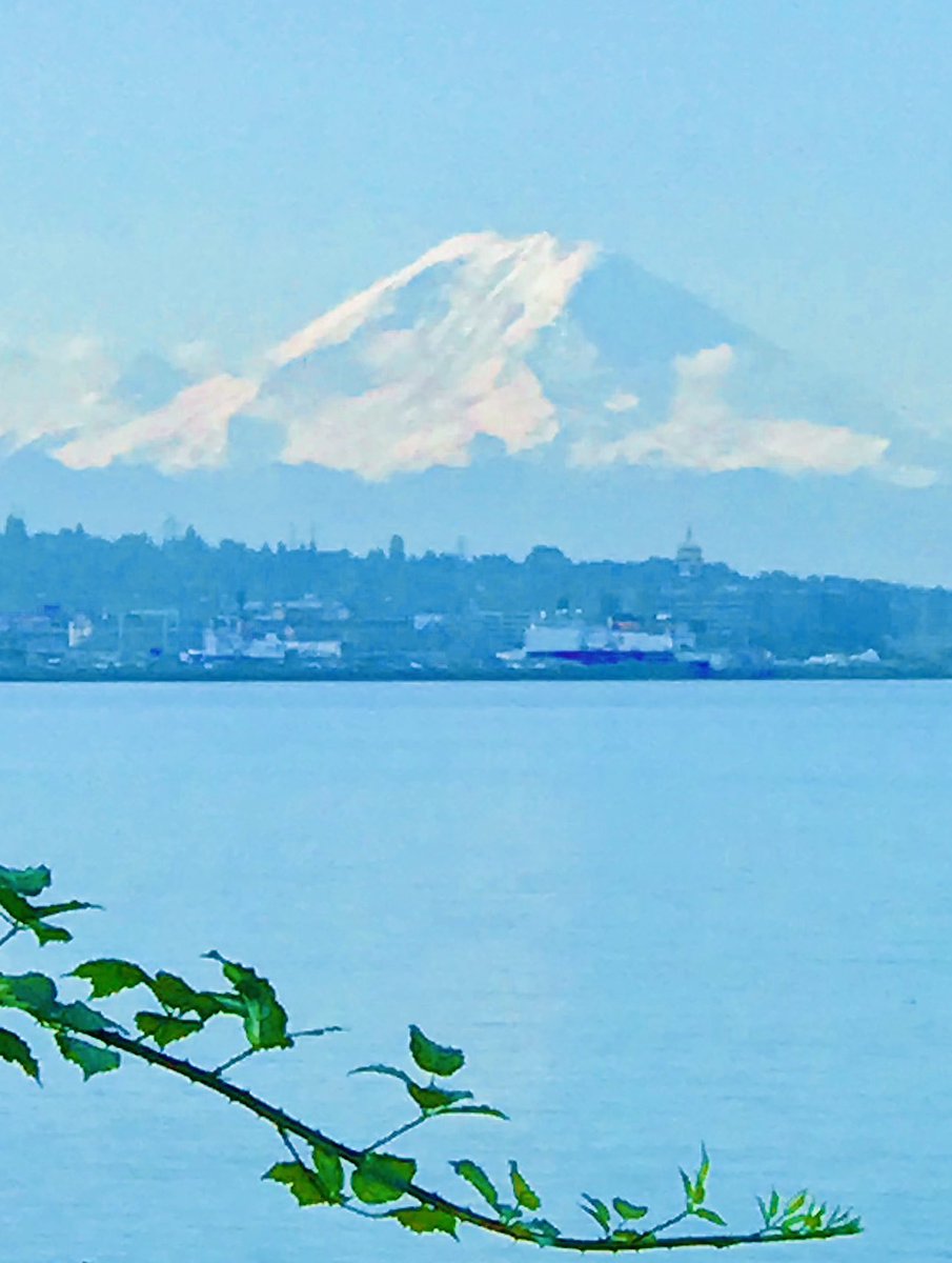 Michael Modzelewski on Twitter "TAKE A BOUGH Mt. Rainier’s runoff