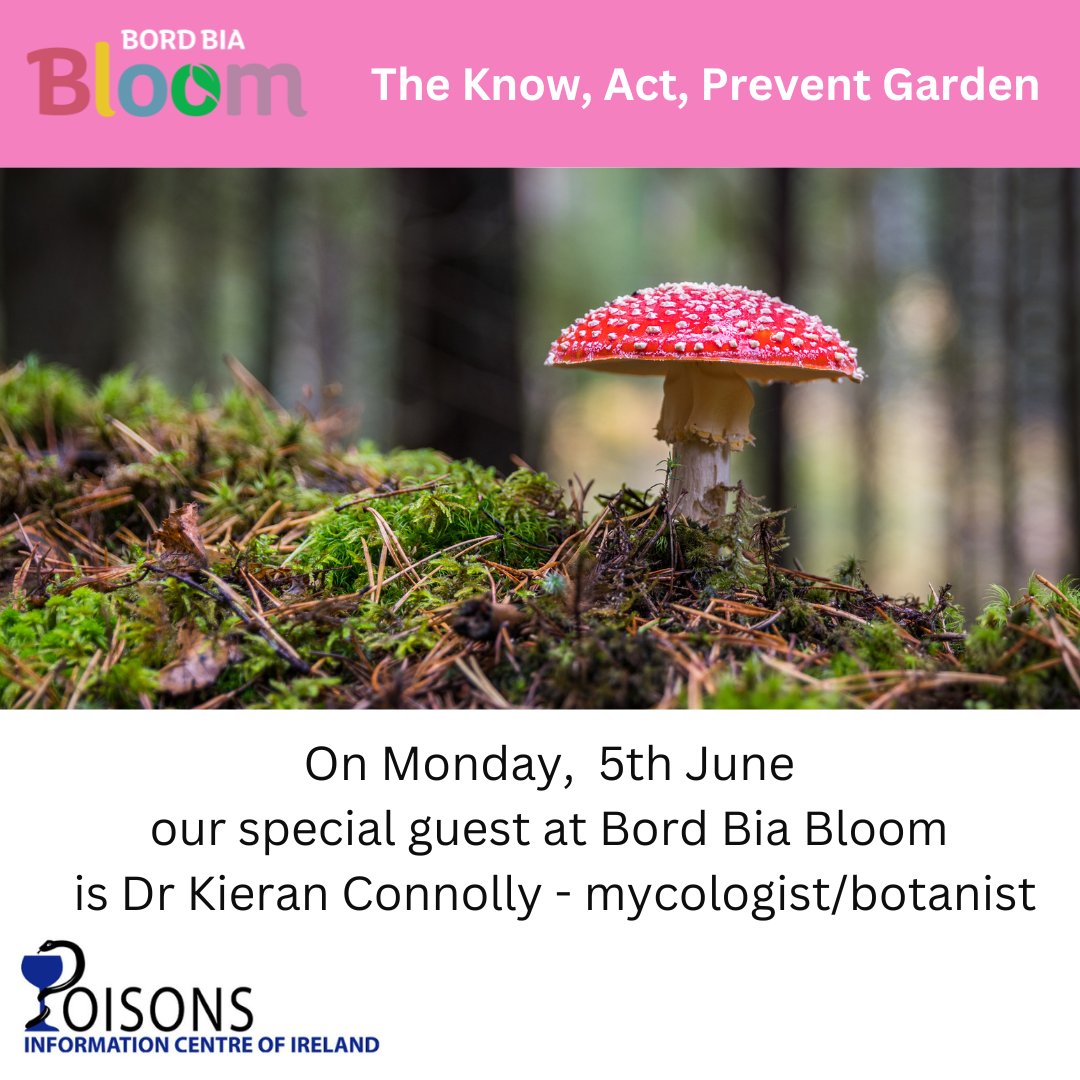 Join us on Monday morning, 5th June, to meet Dr Kieran Connolly (mushroom expert) and botanist and learn more. at 'The Know, Act, Prevent Garden' @BordBiaBloom