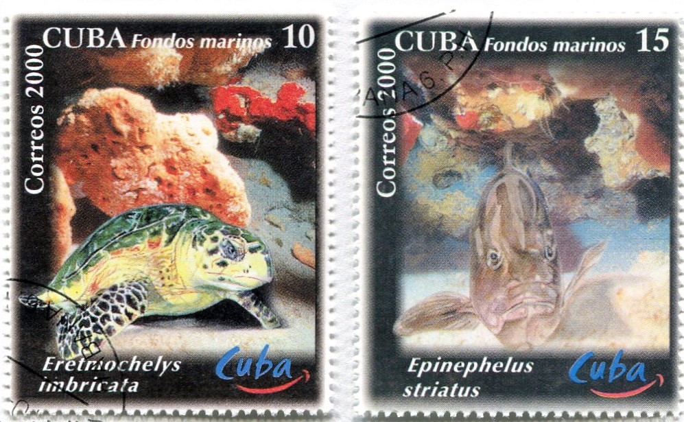 2000: World Tourism Day - Diving Sites
2 critically endangered species - Hawksbill Turtle at Guardalavaca, a place in past times visited by Christopher Columbus and the haunt of pirates. Nassau Grouper at El Colony with its protected reefs
#philately #Cuba #fish #turtle