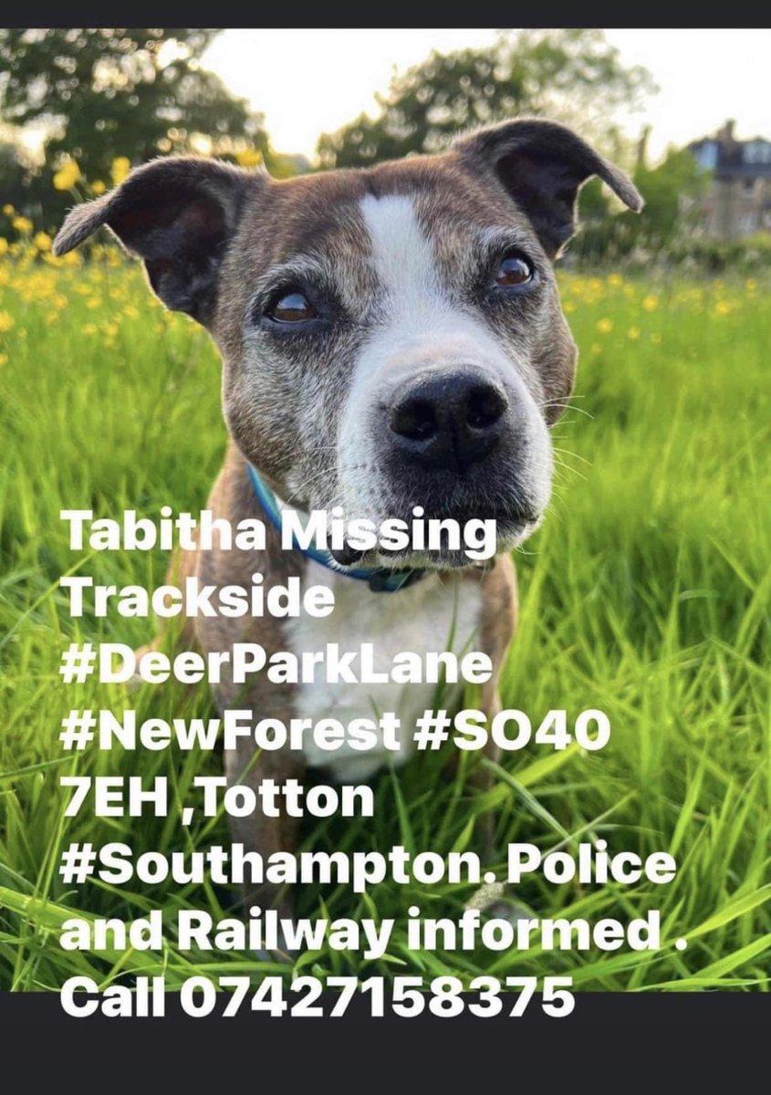 WrightPaisley's tweet photo. @NewForestActivi please help https://t.co/3LqFiU2ka6
