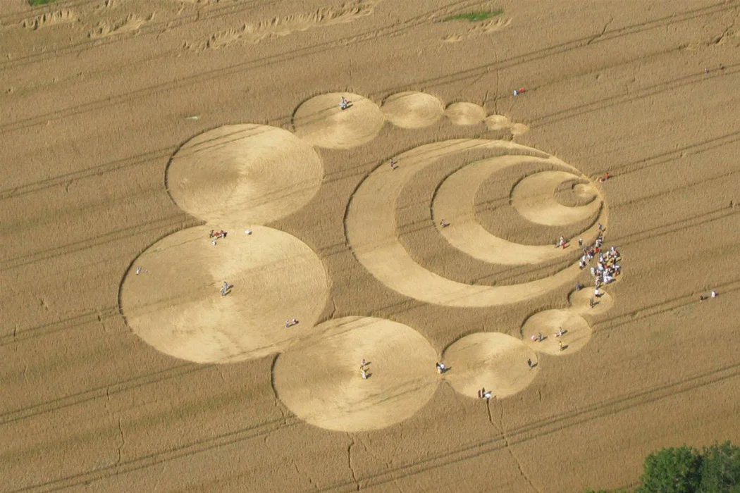 How are crop circles like these being created? I'm looking for theories, wild or not. #WhatILearnedToday #CropCircles