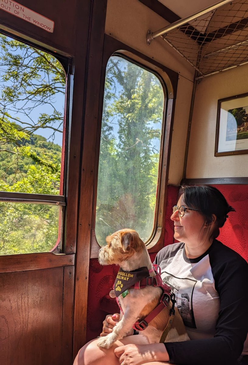Looking out the window on the train today ❤️🏴󠁧󠁢󠁷󠁬󠁳󠁿🐾 #Bestfriends #furfamily #dogsoftwitter
