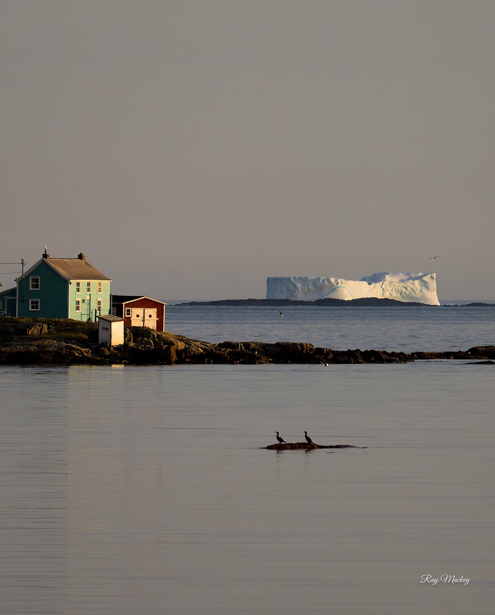 Friends of Science on Twitter "RT RayMackeyNL Joe Batt's Arm, Fogo