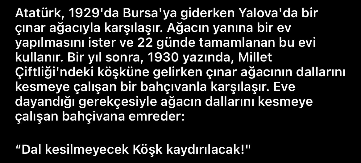 5 Haziran #DünyaÇevreGünü 🍃