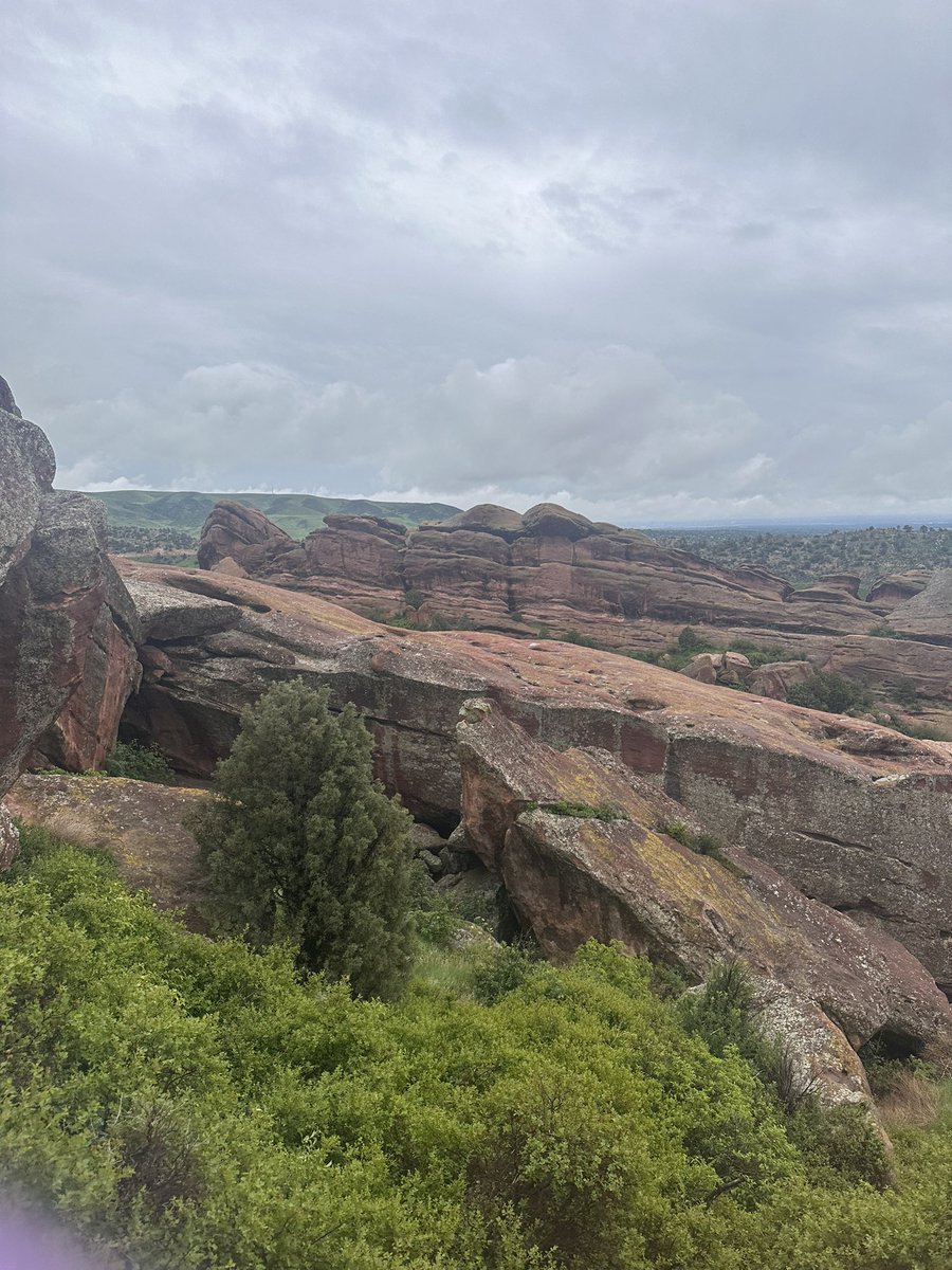 Lara Folks tweet media