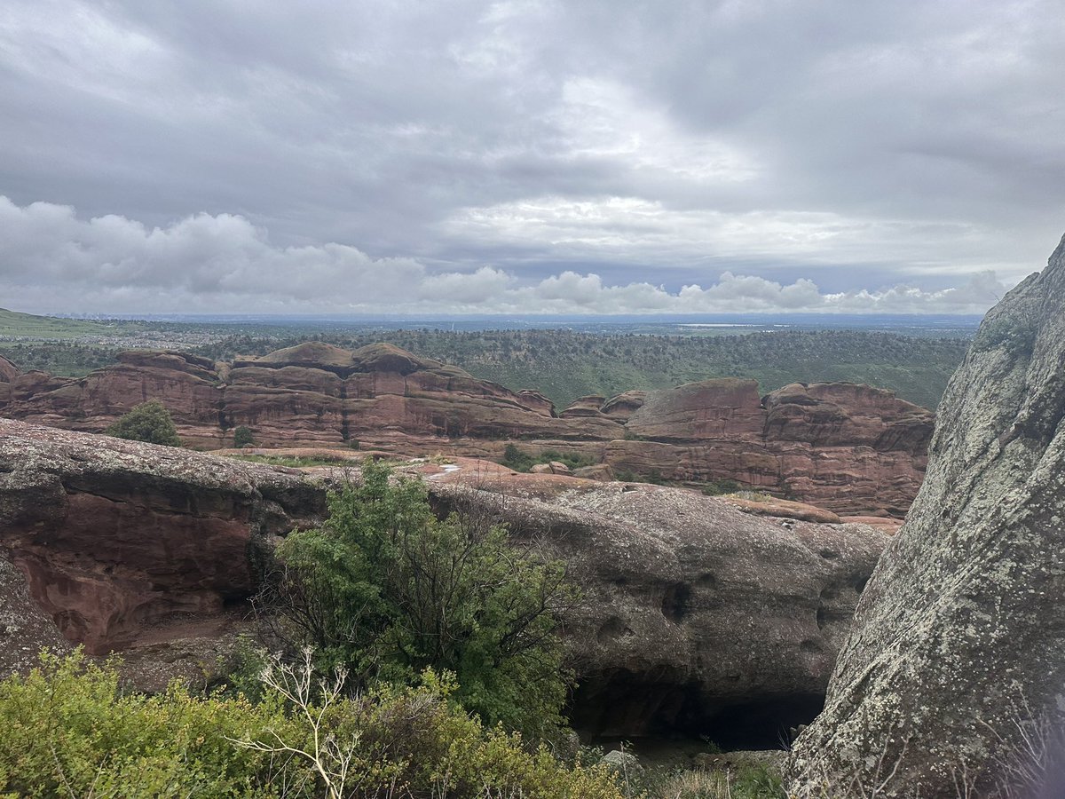 Lara Folks tweet media