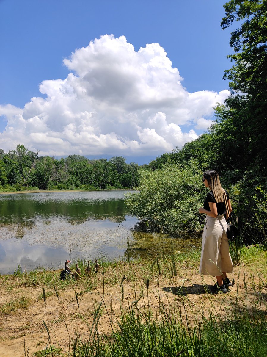 #liqeni #Tiranës 🌿  
 #Albania 🇦🇱
#visitALBANIA 🫶