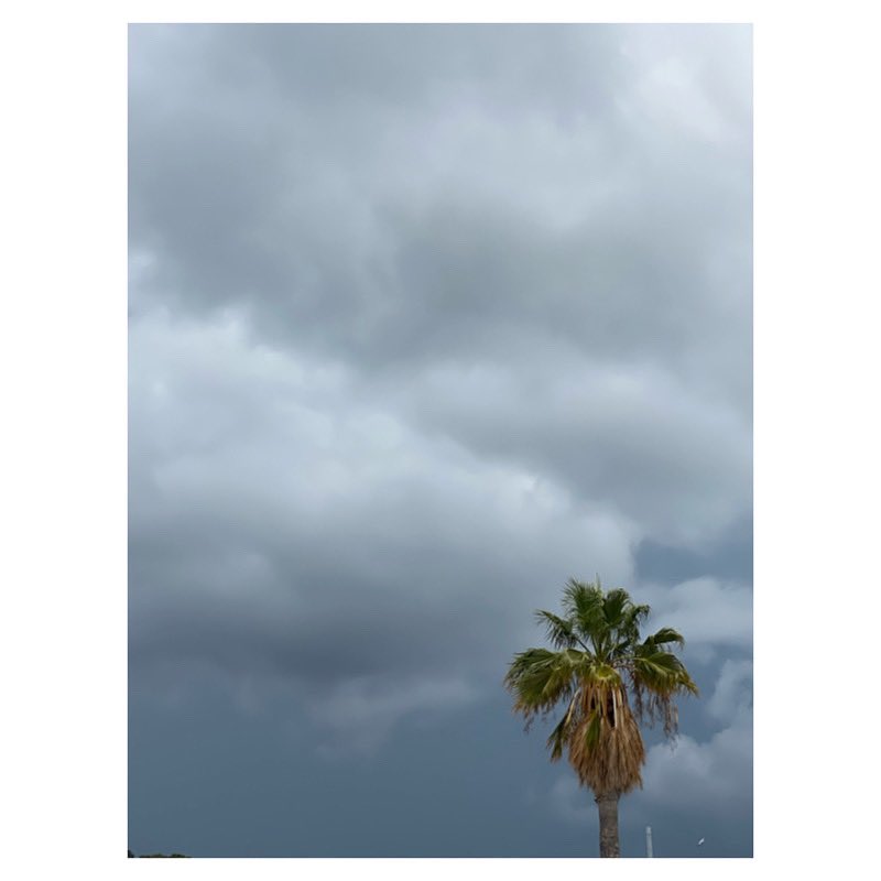 Palm tree 

#palmtree #cassis #cassisfrance #cloudysky #cloudyday #igersfrance #igerssudprovence #skyphotography #skyporn #skyoftheday #skyofinstagram #wipplay #grainedephotographe #reponsesphoto #legoutdesfollowers #woofermagazine #fisheyelemag #mumsday #mothersday #familytime
