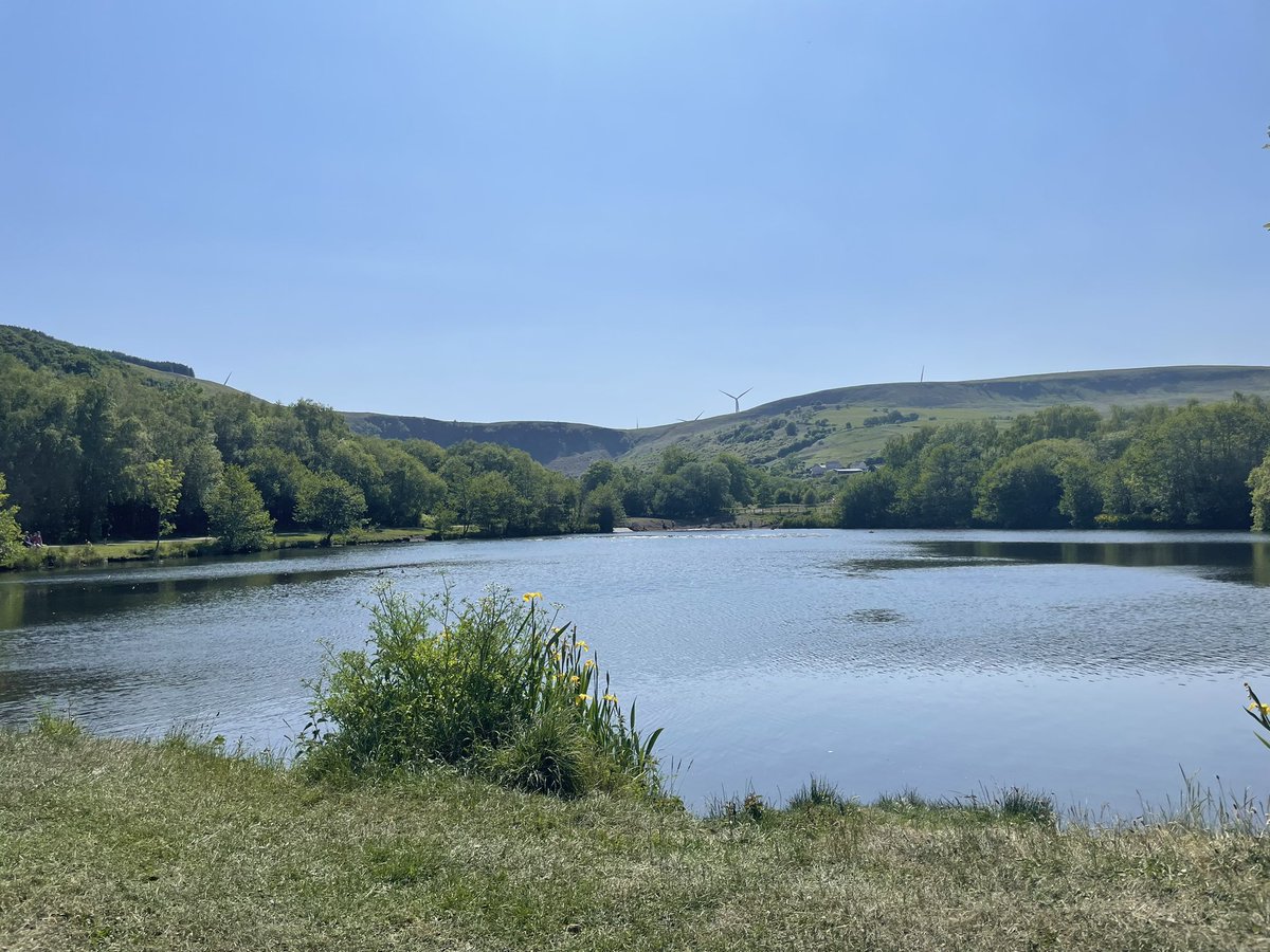 Sara Morgan tweet media